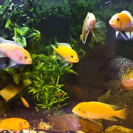 Express By Ihg Люблін